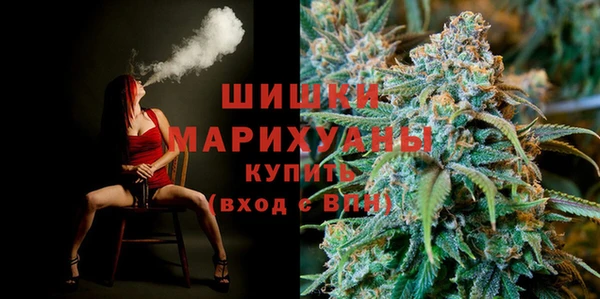стаф Пестово