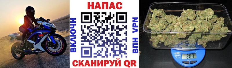 МАРИХУАНА ГИДРОПОН  кракен как войти  Новая Ладога 